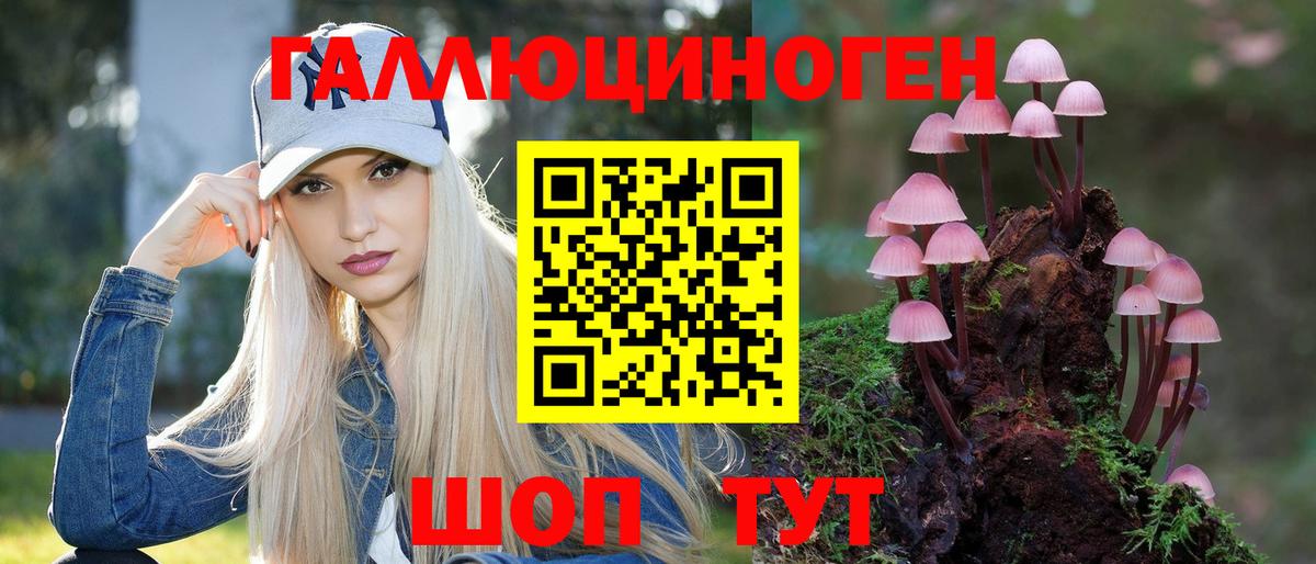 Псилоцибиновые грибы MAGIC MUSHROOMS  где найти   Усолье-Сибирское  Вход с VPN 